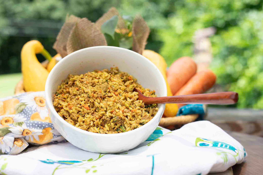 Freshly Frozen Meals- Beef & Rice Dogfood