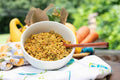 Freshly Frozen Meals- Beef & Rice Dogfood