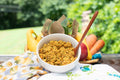 Freshly Frozen Meals- Turkey & Sweet Potato Dogfood