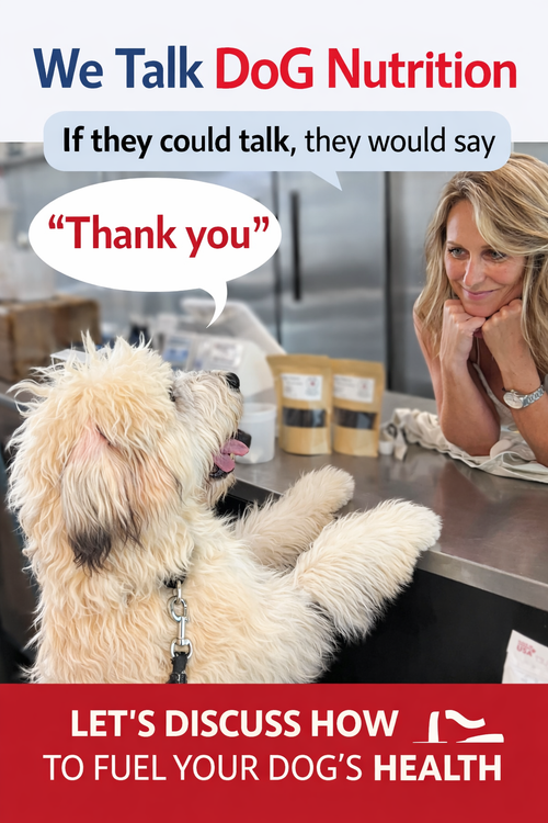 Consultation- Comprehensive Canine Nutrition Consultation