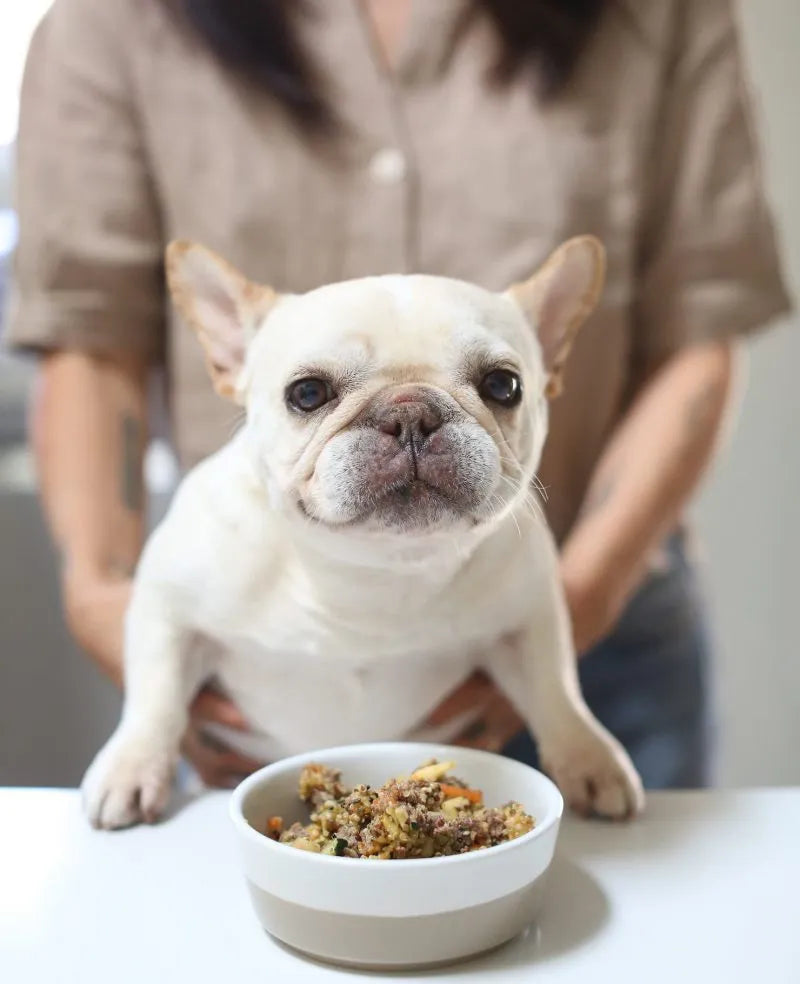 Freshly Frozen Meals - Beef & Sweet Potato Dogfood