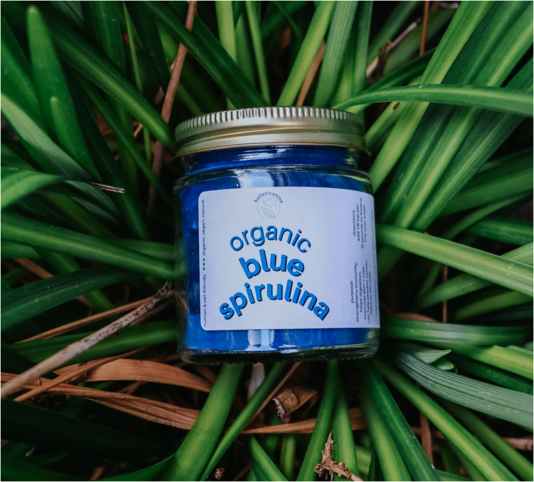 Supplement- Organic Blue Spirulina - Anti-Inflammatory & Antioxidant